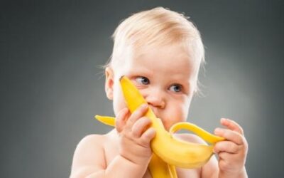 Siateczka do podawania owoców: HIT czy KIT?